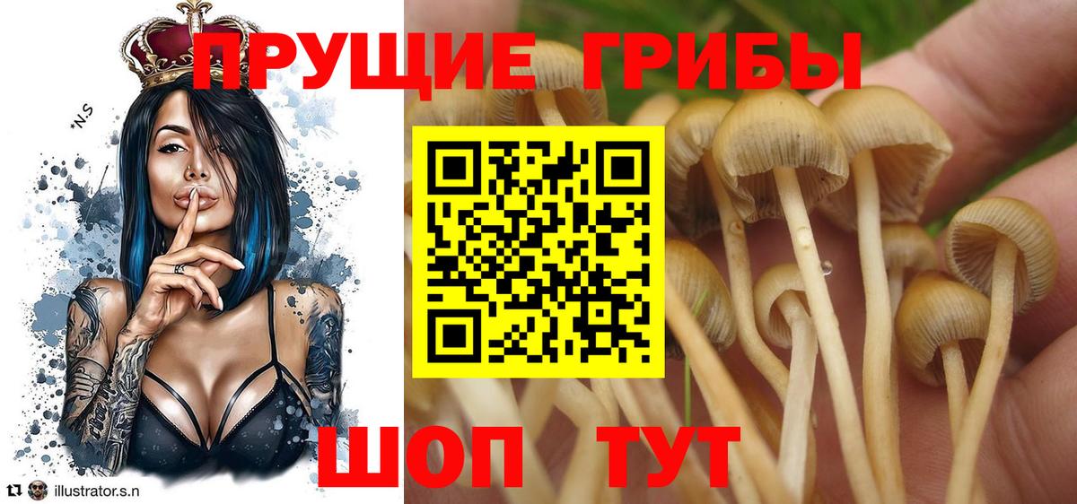 Галлюциногенные грибы Psilocybine cubensis  Вход с VPN  Галлюциногенные грибы MAGIC MUSHROOMS  наркошоп  Сухой Лог 
